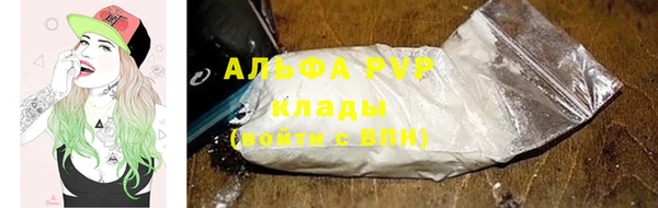 дурь Бородино
