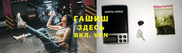дурь Бородино