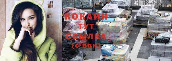 дурь Бородино