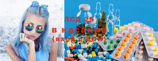 дурь Бородино