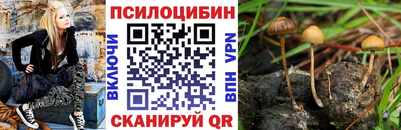 Псилоцибиновые грибы ЛСД  Тольятти 