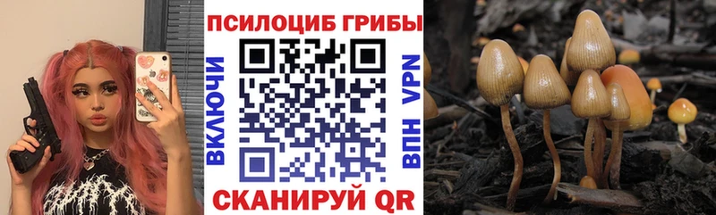 Псилоцибиновые грибы мухоморы Тольятти